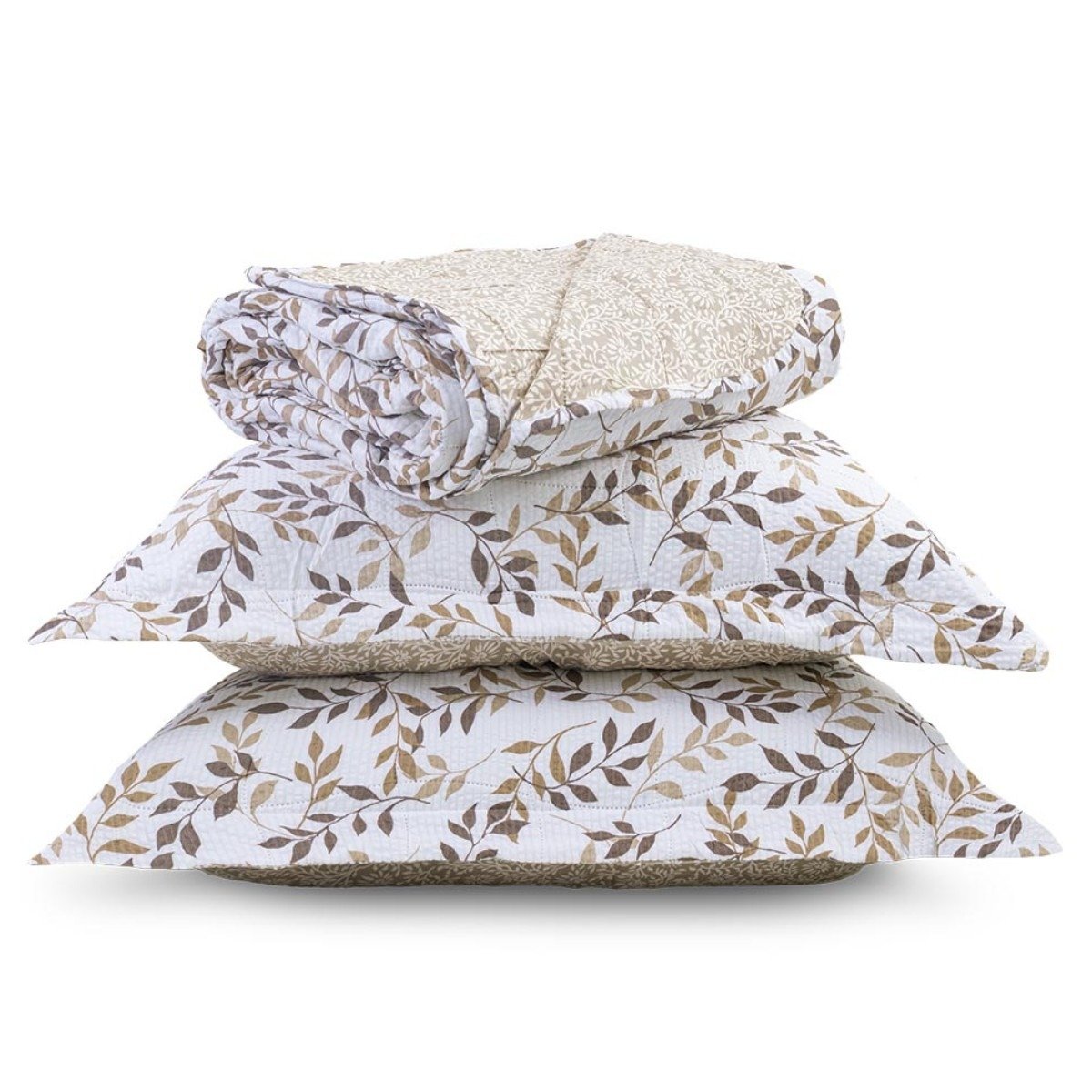 whatsapp image 2026 01 15 at 11 54 23